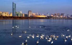 三門峽又一網紅景點，確定不來pick一下？